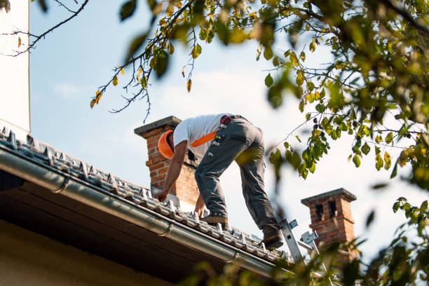 Roof Insulation in Warrenville, IL