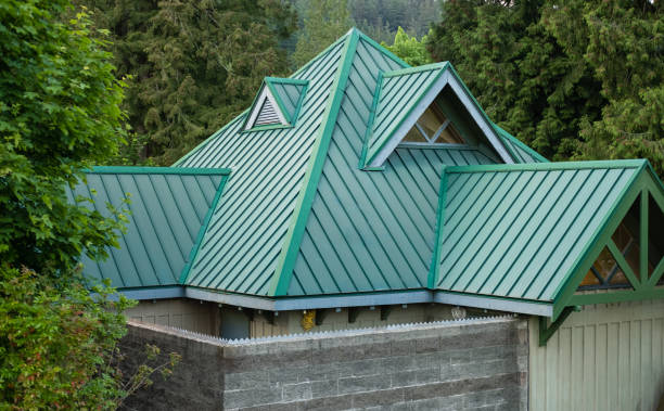 Best Roof Leak Repair  in Warrenvle, IL
