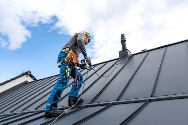 Best Commercial Roofing Services  in Warrenvle, IL